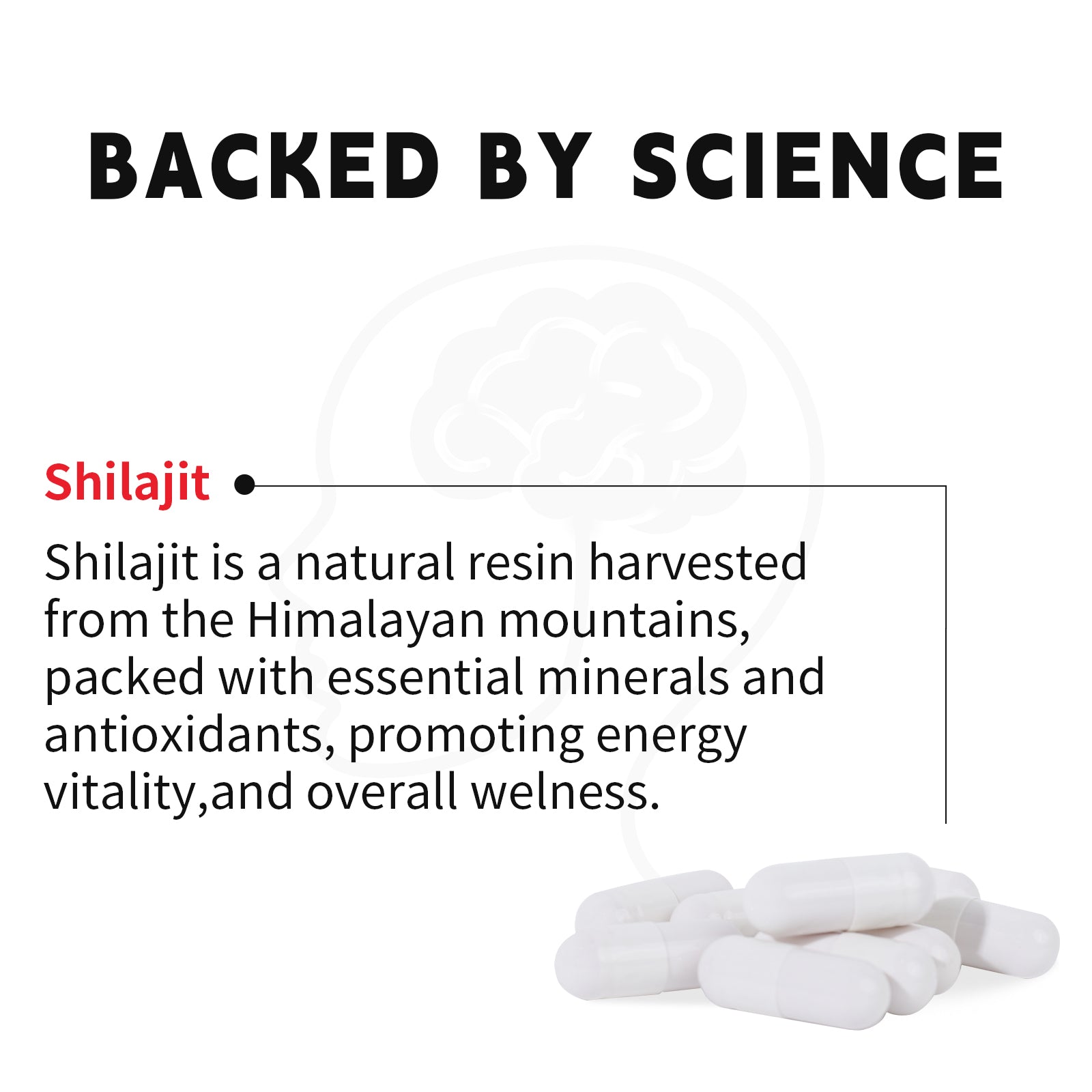 Capsule For Anti-aging, relief of mental stress, anti-fatigue, enhancement of memory, lowering of blood sugar